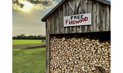Firewood Banks: A Vital Resource for Firewood Assistance Programs