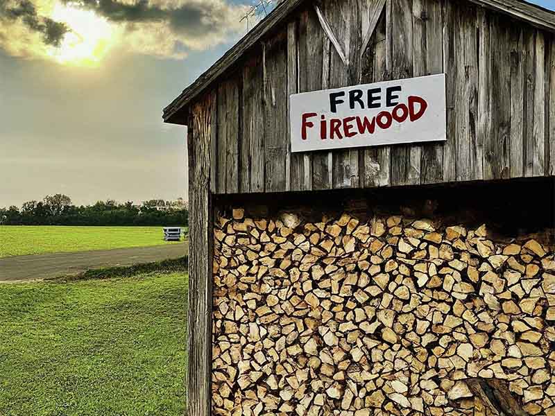 Firewood stacked in a wood bank shed