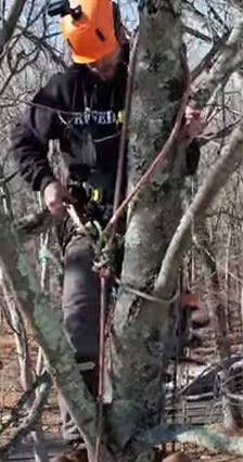 Man securing a rope in a tree